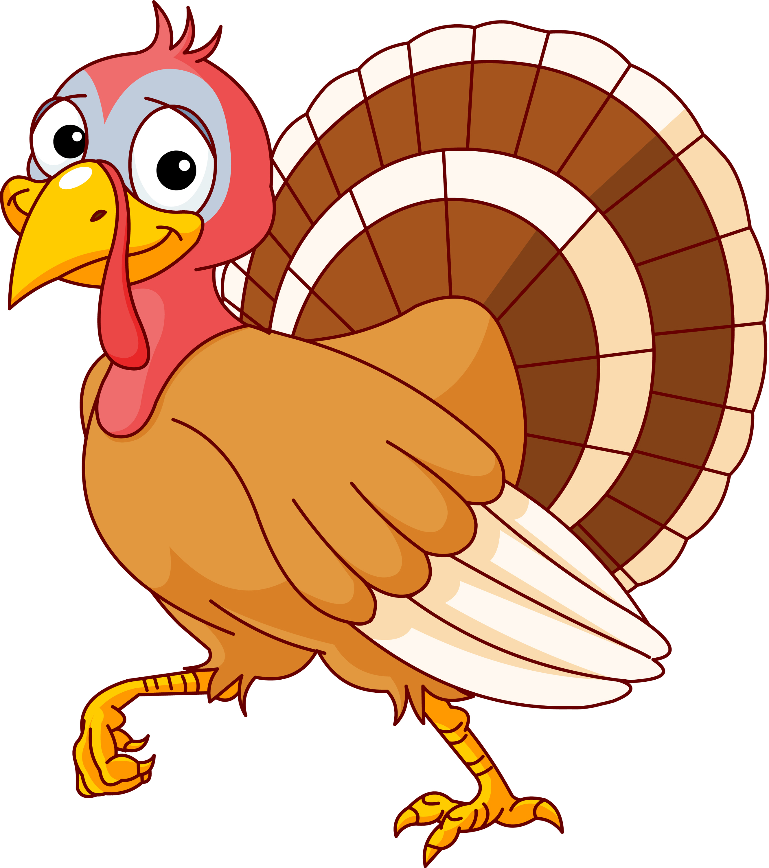 clip art funny turkey - photo #49